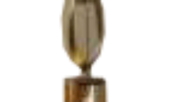 The-Master-Apprentice-Trophy